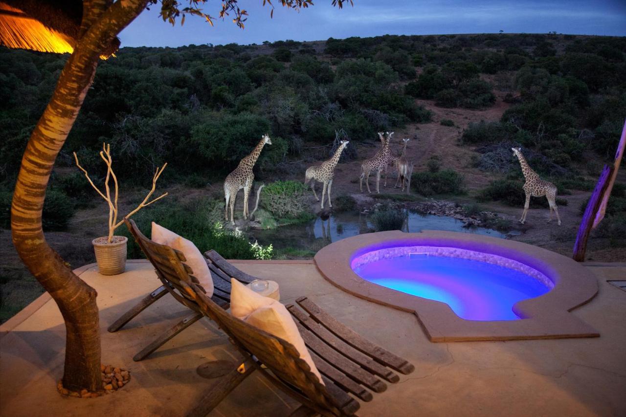 Safari Lodge - Amakhala Game Reserve Exterior photo