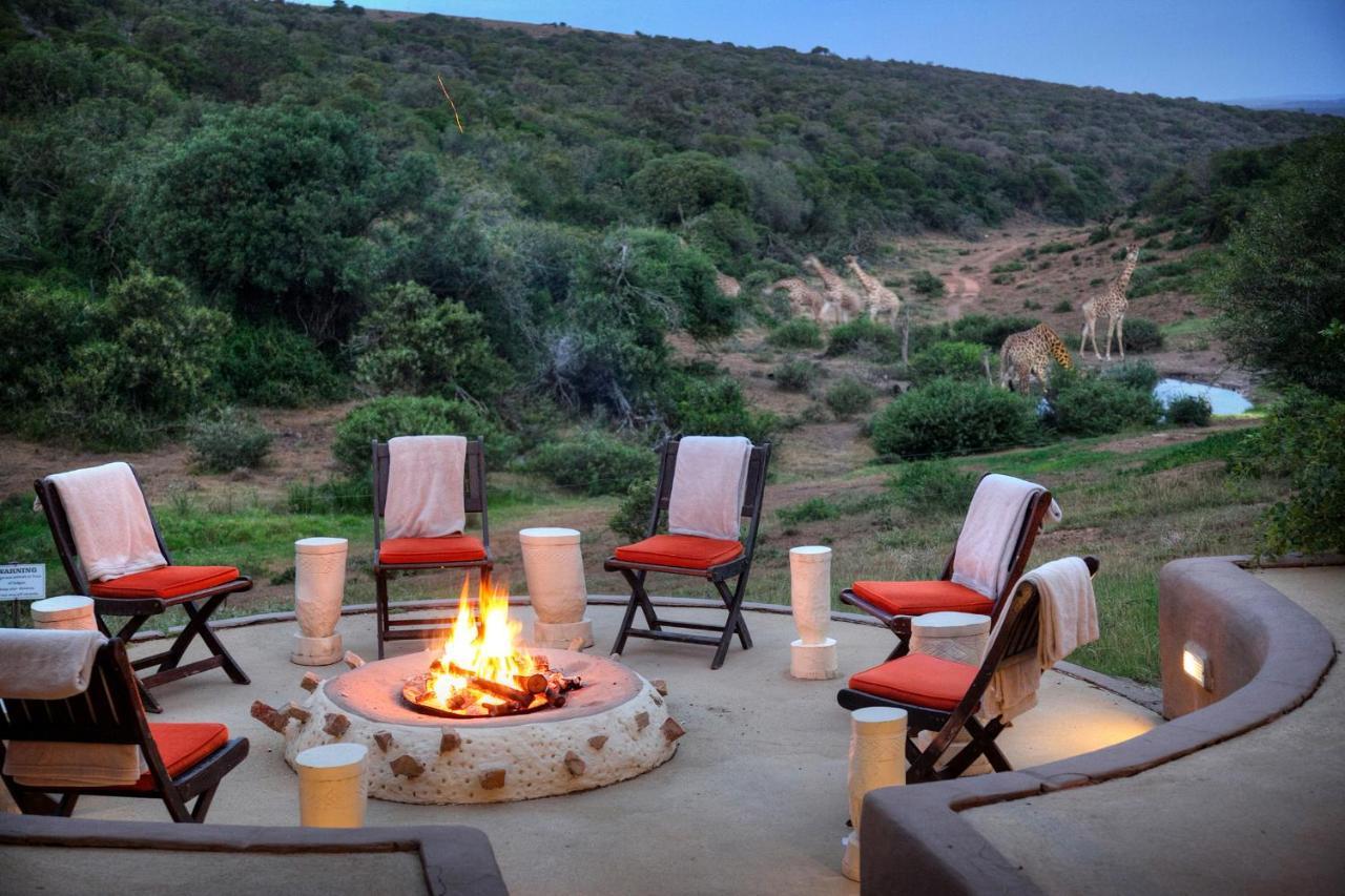 Safari Lodge - Amakhala Game Reserve Exterior photo