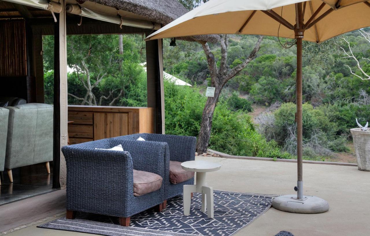 Safari Lodge - Amakhala Game Reserve Exterior photo