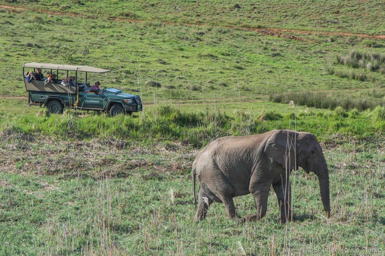 Safari Lodge - Amakhala Game Reserve Exterior photo