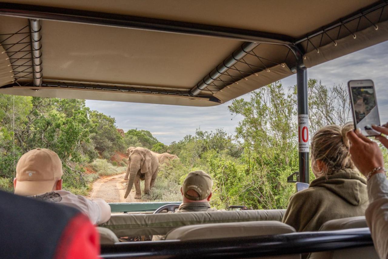 Safari Lodge - Amakhala Game Reserve Exterior photo