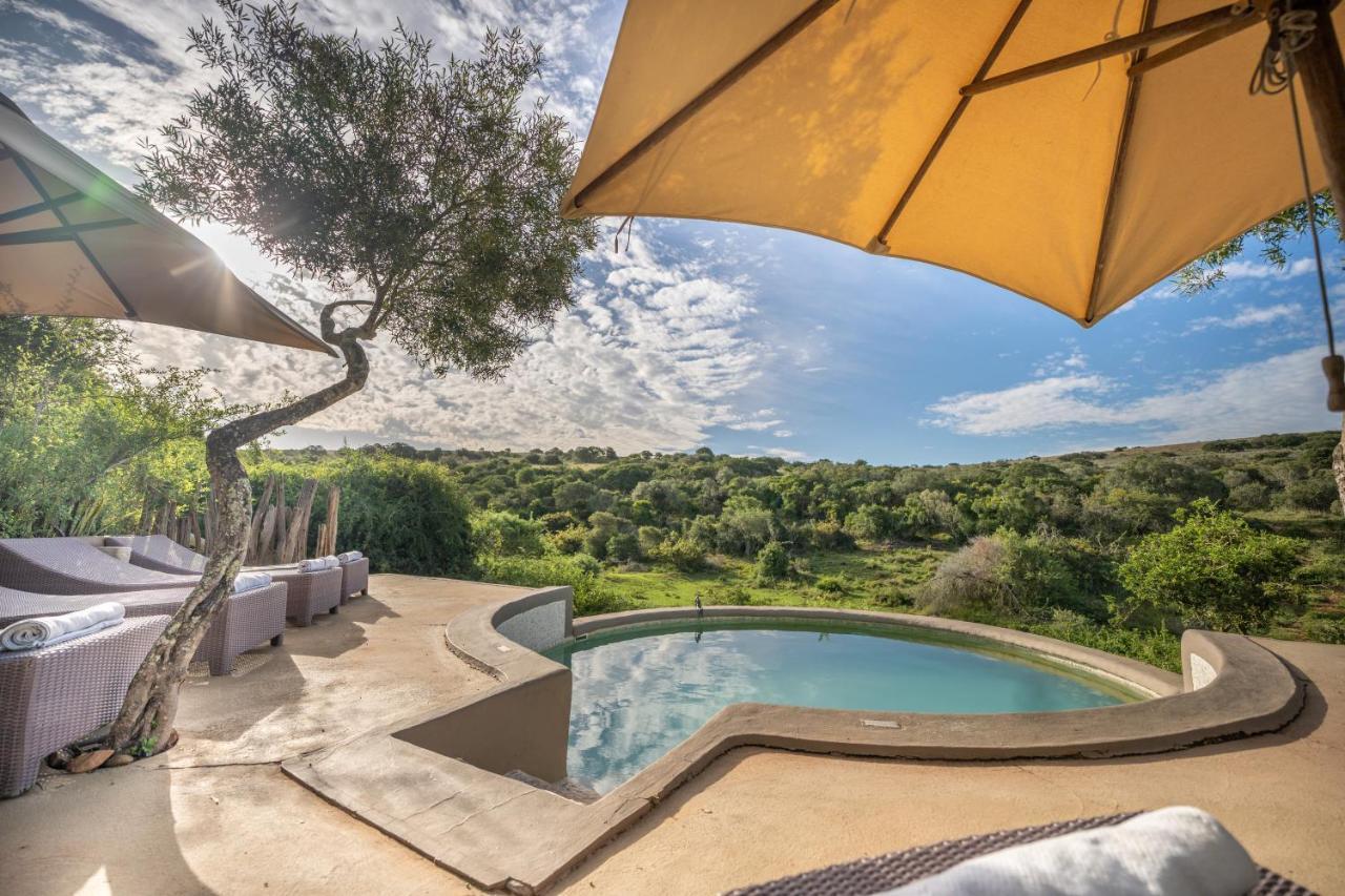 Safari Lodge - Amakhala Game Reserve Exterior photo